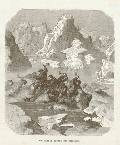 Original antique print  Animals, Seals, "Un Combat Contre Les Phoques" Wood engraving published 1878. 