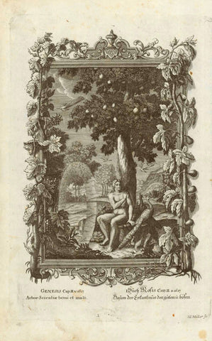 "Arbor Scientiae boni et mali"  "Baum der Erkantnus des guten und bösen"  Tree of Knowledge of good end evil  Genesis 2 is the narrative of God placing the first man and woman in a garden with fruit trees,  of which they may eat - except from the Tree of Knowledge of Good and Evil.  Copper etching by I.C. Müller.  Published in "Biblia Sacra vulgatae editionis jussu Sixti V. Ponif. Max. recognita."  Konstanz (Constance), 1770  Original antique print 