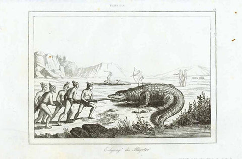 "Erlegung des Alligator"  Native Americans in Florida capturing an alligator.  Steel engraving ca 1850.  Original antique print 