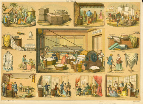 "Le coton" - Cotton - Baumwolle  Cotton, Weaving, Dyeing, Fabrics  Tone lithograph and hand-finished in color.  By two artists by the name of Belin and Bethmont  Printed in Paris bei Lemercier, ca 1860