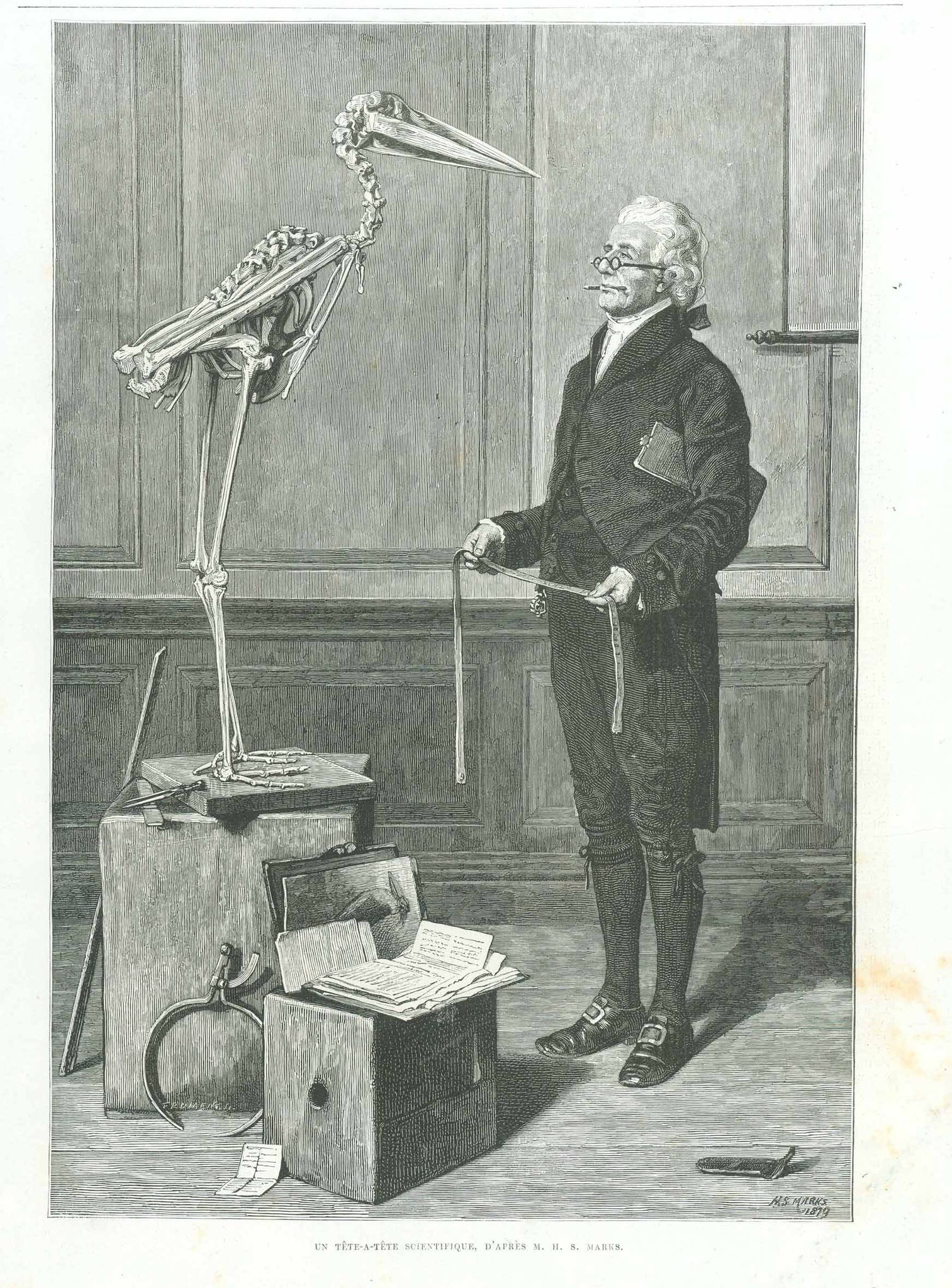 gift for an ornithologist, ornithology "Un Tete-A-Tete Scientifique"  Wood engraving made after M.S. Marks. Published 1879  Original antique print   On the reverse side is unrelated text.  Image: 30 x 20 cm (11.8 x 7.8 ")