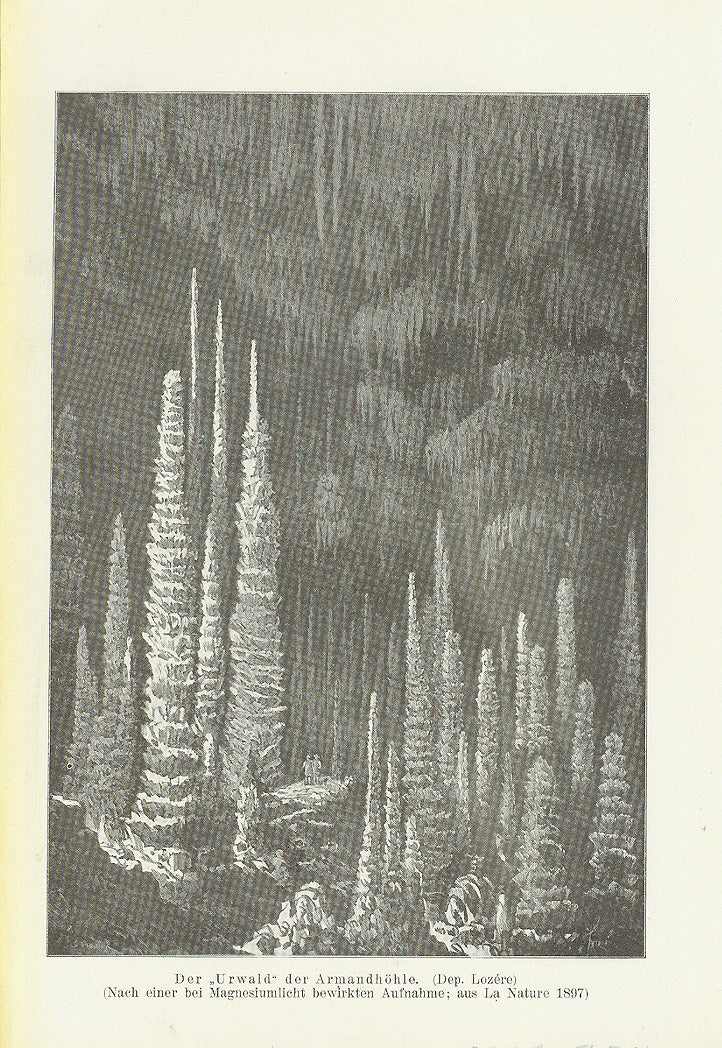 "Der "Urwald" der Armandhoehle. (Dep. Lozere)"
(Nach einer bei Magnesiumlicht bewirkten Aufnahme: aus La Nature 1897)

This print was published 1901.

Original antique print