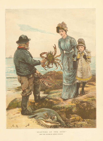 "Beauties of the Deep"  Crabs  Wood engraving printed in color by Arthur Hopkins. Published ca 1885.  Original antique print  