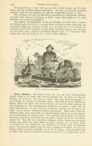 Original antique print  lobster, Helgoland,  "Helgolaender Hummerfischer"  Wood engraving published ca 1875. Below the image is text about crabs and lobster. On the reverse side is text about seals.