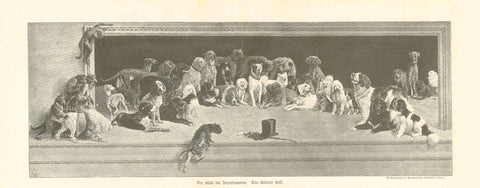 Original antique print  Monkeys, Dogs, Genre, Unsatisfied, "Der Club der Unzufriedenen" (the club of the unsatisfied/unhappy)  Wood engraving by Alberto Gissi made after a photograph. Published 1895. Below the image is a humorous story about dogs that continues on the reverse side. Vertical centerfold.