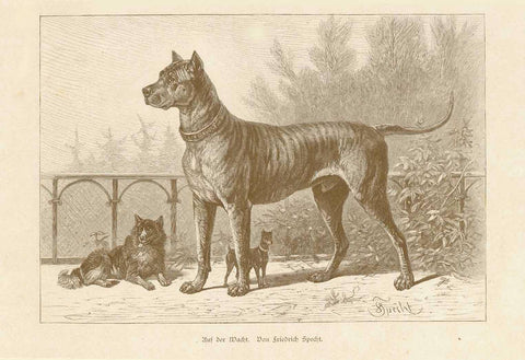 "Auf der Wacht"  Animals, Dogs, Watchdogs  Wood engraving by Friedrich Specht ca 1880.  Original antique print  