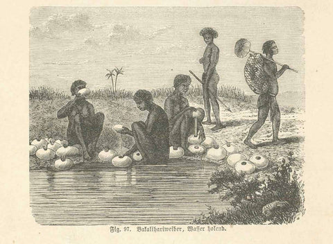 "Bakalihariweiber, Wasser holend" (Kaffern)  Peoples, Africa, Afrique, Afrika, Bakalihari, Bechuanaland, Kalahari Wood engraving on a page of text about various methods of carrying water.. This image shows  shows women getting water with hollowed-out squash (calabasas).  Published ca 1885.  Original antique print  