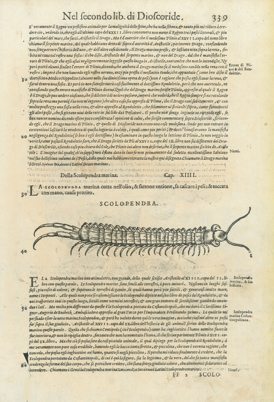 "Scolopendra Marina Del Rondoletio" "Torpedine"  Marine Life, Fish, Scolopendra Marina Del Rondoletio, Torpedine, Tausendfluessler, Riesenlaeufer, Rochen, Conrad Gessner  Woodcuts. Published in "Piscium and aquatilium animantium nature" Zurich, 1558  By Conrad Gessner (1516-1565)