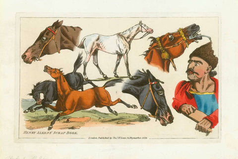 Antique print, Arabian horses.  Dated 1824.  Original antique print 
