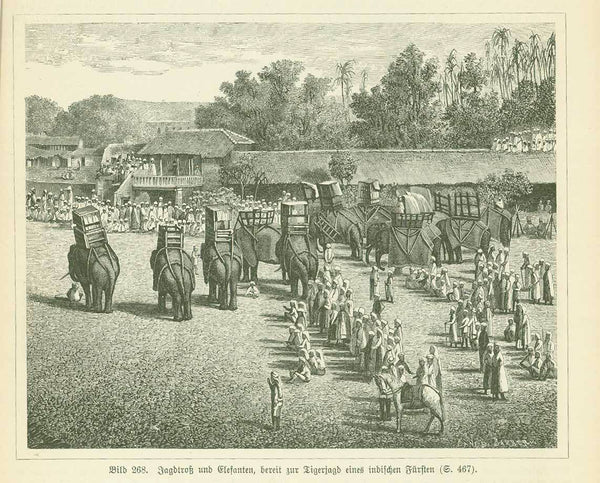 "Jagdtross und Elefanten, bereit zur Tigerjagd eines indischen Fuersten"
(hunter and elephants preparinf for a tiger hunt with an Indian royalty)

Animals, Architecture, City Views, Hunting, India, Chillambaran, Chidambaram, Elephants, Tigers, Pagoda

Original antique print&nbsp;&nbsp;

Image: 13.5 x 17 cm (5.3 x 6.6")

Wood engravings on both sides of a page with German text about India.
Published 1895.