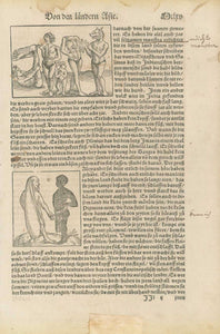 People on on foot and on goats attacking gigantic fabulous birds, and two more woodcuts with fabulous birds. All with incredible descriptions living in India and Africa along with fantastic stories about the finding of gold and treasures.  Woodcuts. Published in "Cosmographia"  By Sebastian Muenster (1488-1552)  Basel, 1553