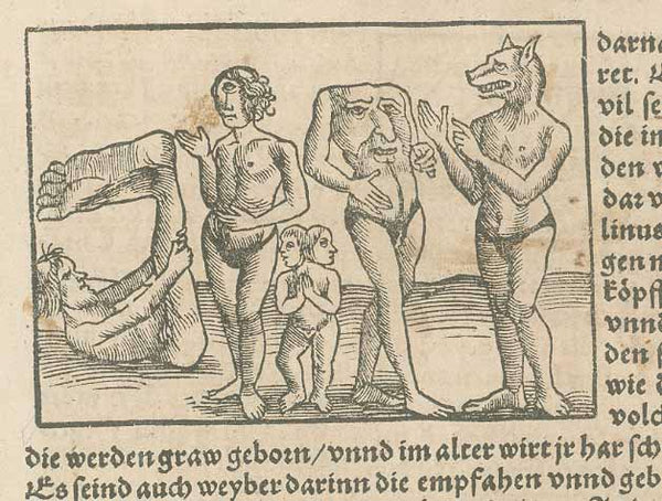 People on on foot and on goats attacking gigantic fabulous birds, and two more woodcuts with fabulous birds. All with incredible descriptions living in India and Africa along with fantastic stories about the finding of gold and treasures.  Woodcuts. Published in "Cosmographia"  By Sebastian Muenster (1488-1552)  Basel, 1553