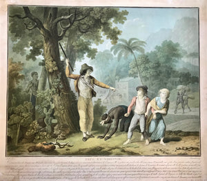 Paul et Virginie, a pastoral novel by Jacque-Henri Bernardin de Saint-Pierre, was published in 1788. It treats the tragic love between two children on the Island of Mauritius.  Jean-Frédéric Schall (1752 - 1825) created a set of six designs to illustrate this book for the 1797 edition. These aquatints were masterfully engraved in color by Charles Melchior Descourtis (1753 - 1820).