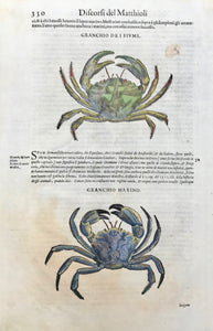 Histoire Naturelle Fig. 1. Crabe de St. Domingue. Fig.2. La Sirque. Fig. 3. Crabe a Longues Jambes. Fig. 4. Crabe Violet.  Copper etching by Benard after Martinet for "Histoire Naturelle", published 1751 in Paris. Modern hand coloring. Margin edges show light browning. Brown spot to right of upper crab. Tiny repaired tear on lower margin edge.