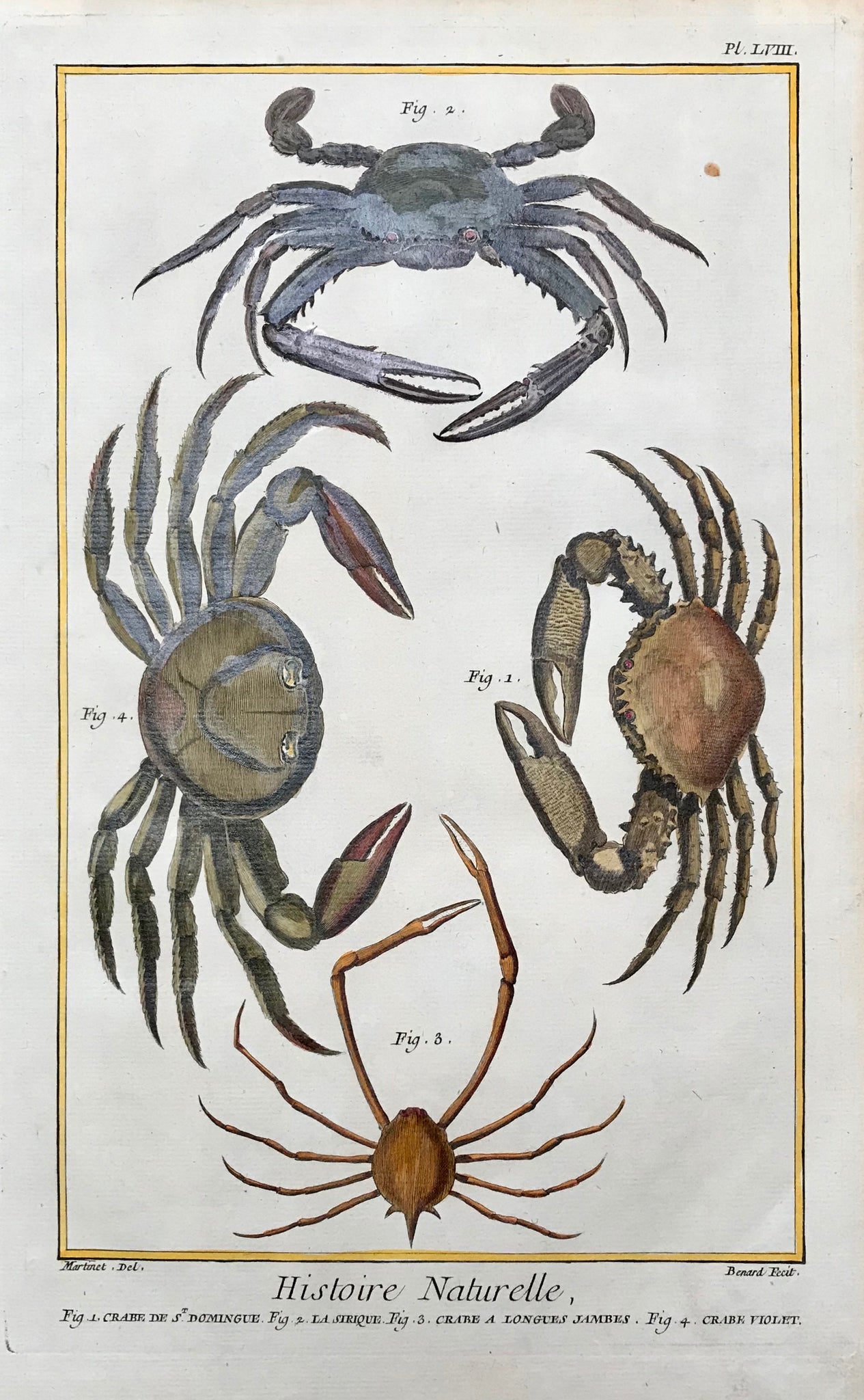 Histoire Naturelle Fig. 1. Crabe de St. Domingue. Fig.2. La Sirque. Fig. 3. Crabe a Longues Jambes. Fig. 4. Crabe Violet.