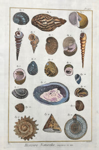 Histoire Naturelle, Coquilles de Mer  Copper etching by Danioto for "Histoire Naturelle", published 1751 in Paris. Recent hand coloring.