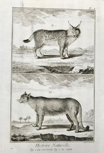 Fig. 1 Le gougar. Fig. 2 Le Linx  Copper etching by Antonio Baretti published 1751 in Paris. Small spot in lower left corner margin. Small repaired tears in lower right and left margin corners.