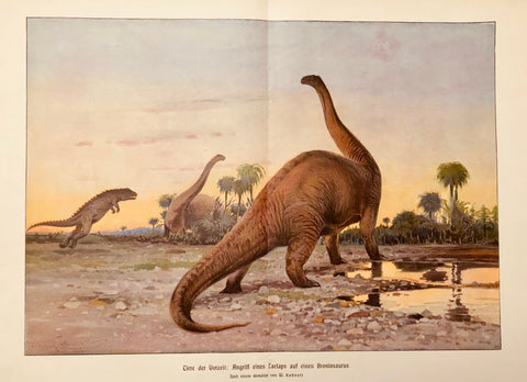 "Tiere der Urzeit: Angriff eine Caelaps auf einen Brontosaurus"  Wood engraving after a painting by Wilhelm Kuhnert, 1904. Printed in color. Vertical centerfold.