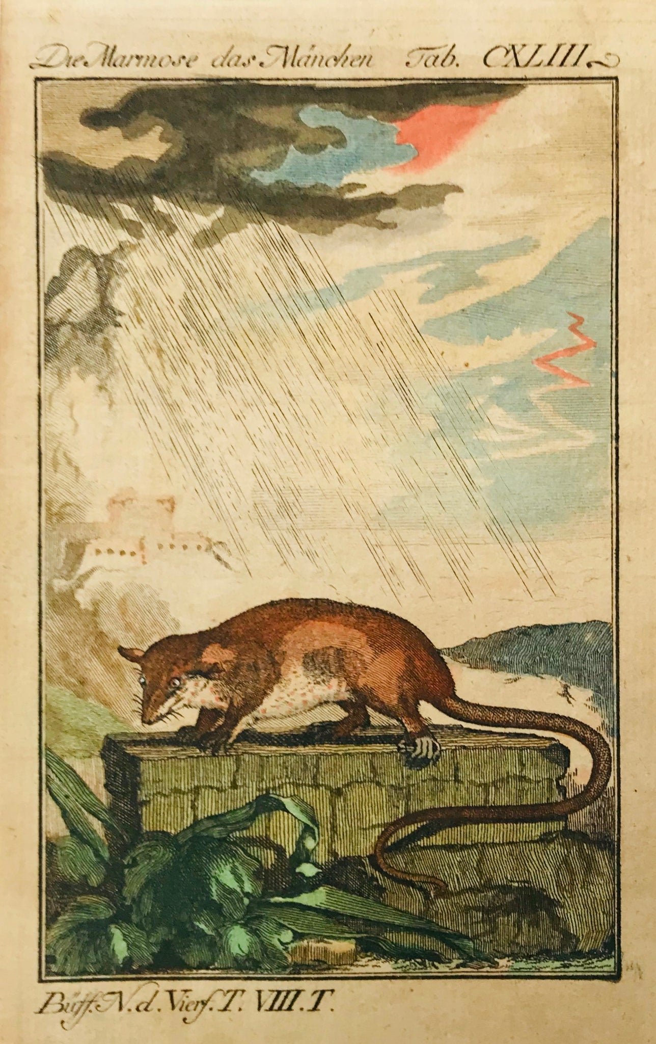 Der Marmose das Maenchen  Notice the dramatic sky showing a lightning and thunderstorm!  Copper engraving ca 1780. Original hand coloring.