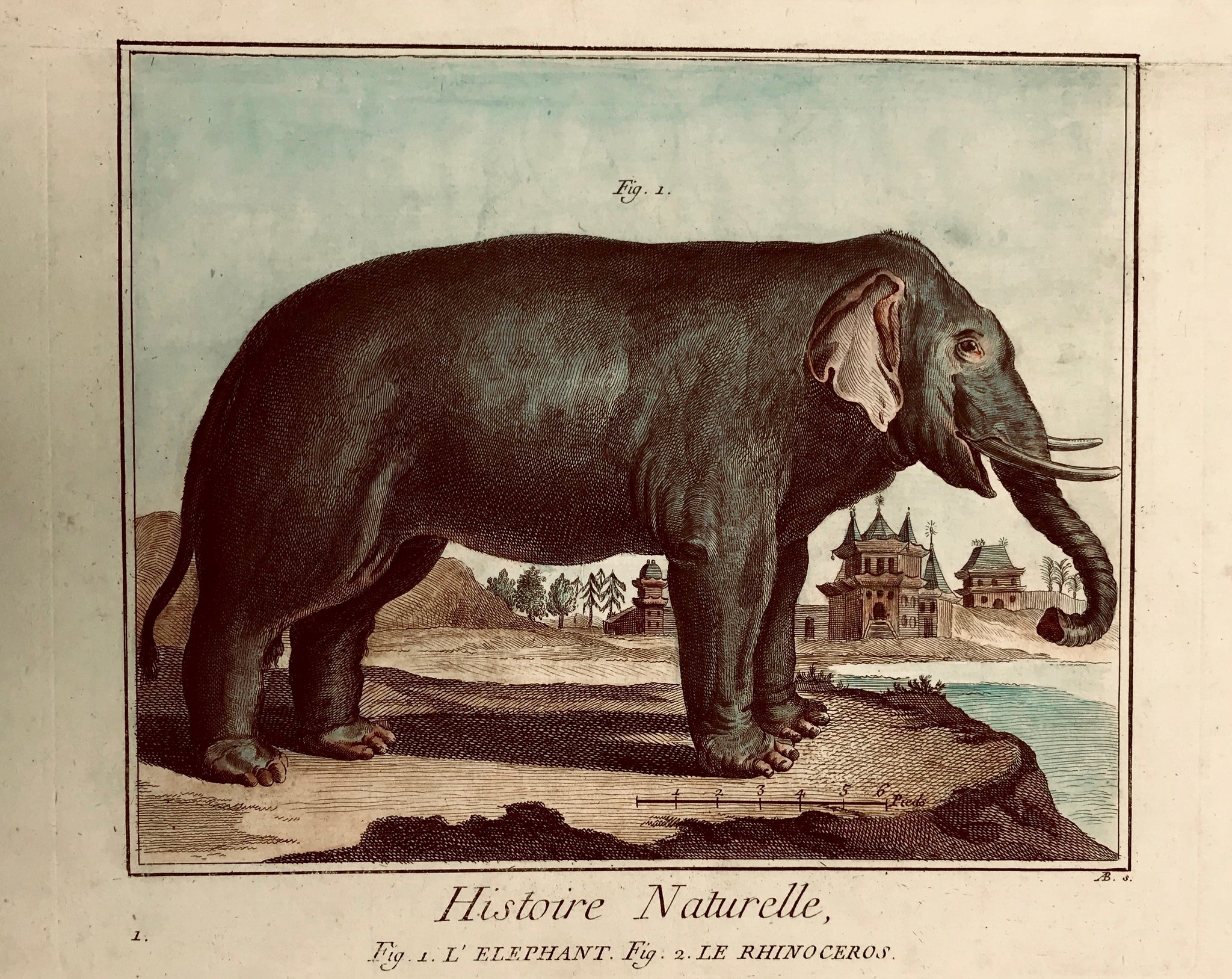 "Histoire Naturelle" "Fig. 1. Elephant...."  Copper engraving from the Encyclopedia by D. Diderot and J. d'Alembert. It was published in Paris ca 1770.