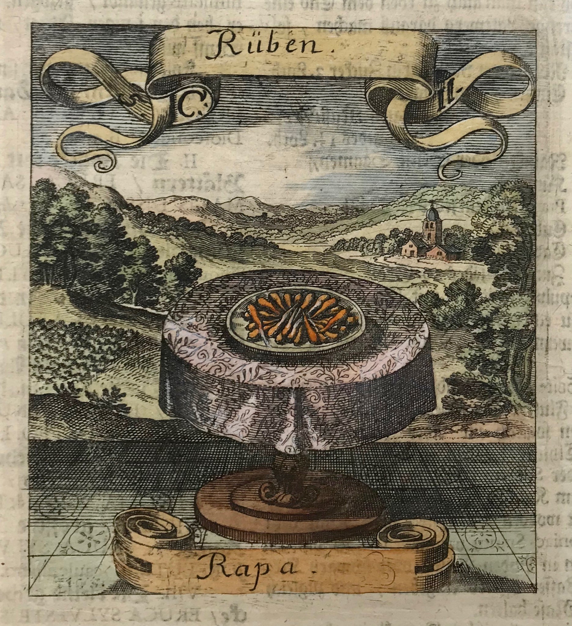 Rüben-Rapa  Here we get to know him an author of simply wonderful descriptions of plants and flowers used in medicine. His specialty was to set the flowers oversize into a landscape, adorning the print with flying ribbon in which the name of the plant or flower is engraved. 