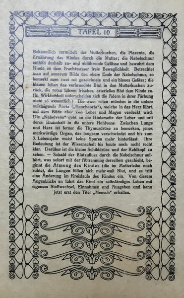 Kind mit geoeffnetem Leibe (Verlauf der Nabelschnurgefaesse) (Shows the blood vessesls of the navel cord)  Chromolithograph, 1911. Extra page of text in German.