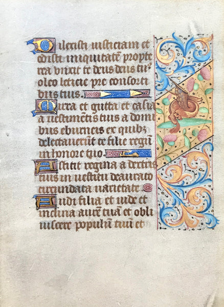 Illuminated Manuscripts: Book of Hour