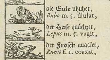 "Das Alphabet, Aud dem Orbis pictus des Johann Amos Comenius"  Each of the charming images is followed by the German word describing the sound that each image makes. Name and sound of each animal also in Latin.  Wood engraving from the famous work by Comenius(1592-1670). This print was published 1880. On the reverse side is a short article in German about the Comenius alphabet.