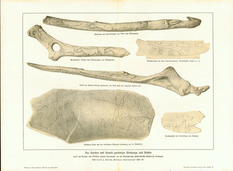 "Aus Knochen und Geweih geschnitzte Werkzeuge und Waffen sowie auf Knochen geritzte Kunstwerke aus der Rentierperiode Suedfrankreichs (Vezere-Tal, Dordogne)"  Carvings of and on bones and horns from Dordogne.  Chromolithograph ca 1900.