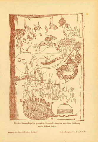 "Mit dem Daumen-Nagel in geschwaertzte Baumrinde eingeritzte australische Zeichnung"  (Australian thumbnail drawing in blackend bark)  Zincograph published 1905.