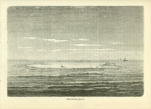 "Whit Sunday Island" (Whitsunday Island)  Wood engraving published 1885. On the reverse side is text about early explorationof the Whitsunday Islands.  Image: 11 x 16.5 cm ( 4.3 x 6.4 ")