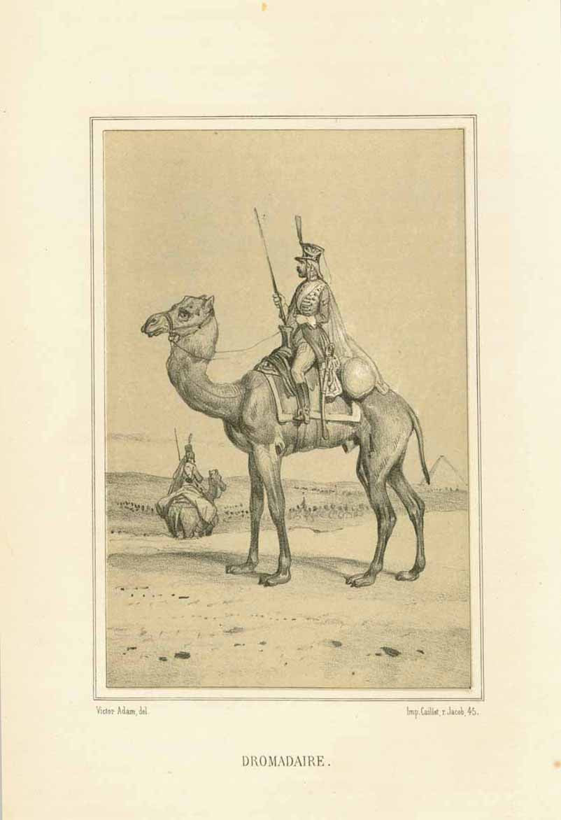 "Dromadaire"  Toned lithograph after Victor Adam. Published 1884.  Image: 13.5 x 9 cm (5.3 x 3.5")