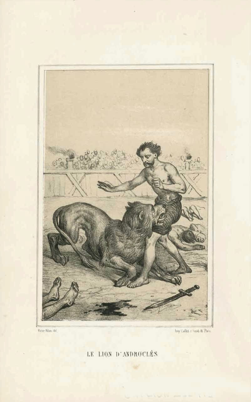"Le Lion D'Androcles"  Image of Androcles, the slave in Roman times who was saved by a lion. Androcles found the lion in the forest with a wounded paw. He took out the thorn and soothed the lion. Androcles later was put before the lions in the Colosseum. The lion that was supposed to kill Androcles is the one Androcles saved. Androcles and the lion march out of the Colosseum in peace together.  Toned lithograph after Viktor Adam. published 1884.