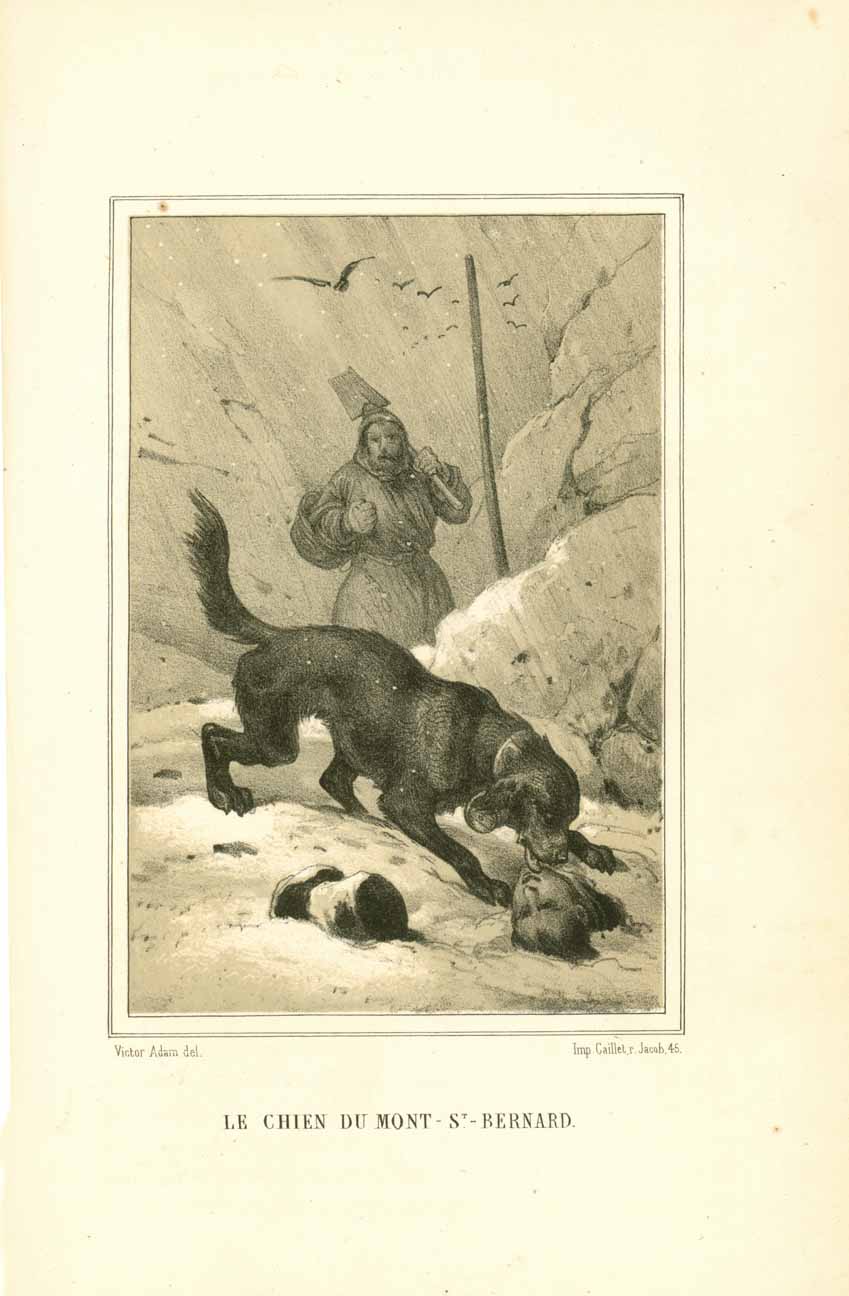 "Le Chien Du Mont St. Bernard"  Toned lithograph after Victor Adam. Published 1884.  Minor signs of age and use.