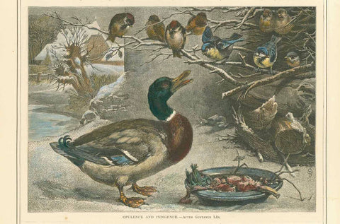 "Opulence and Indigence"  Hand-colored wood engraving after Gustav Lues ca 1890.  Winter scene with chattering and quacking over a bowl of food.  Original antique print 