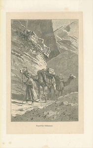 "Aegyptische Lastkameele"  Egypt, Aegypten, Camel  Wood engraving by Franz published 1877.  Original antique print  