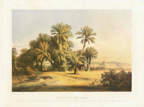 Cairo. - "Palmenwald bei Kairo"  Palm tree oasis near Cairo.  In the background: Al-Azhar Mosque and Mosque of Sultan Hassan  Chromo-lithograph by August Loeffler (1822-1866) after his own painting. With dry stamp above title.  Printed and published by J. Adam in Munich, 1853  This print was a single sheet print used for a gift by the Albrecht Dürer-Verein in Nuremberg to its members in the year 1853
