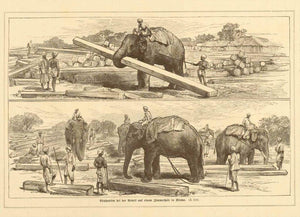 "Elephanten bei der Arbeit auf einem Zimmerhofe in Birma"  Wood engraving of elephants working at a lumber yard in Burma. Published ca 1875. Reverse side is printd ith unrelated text.