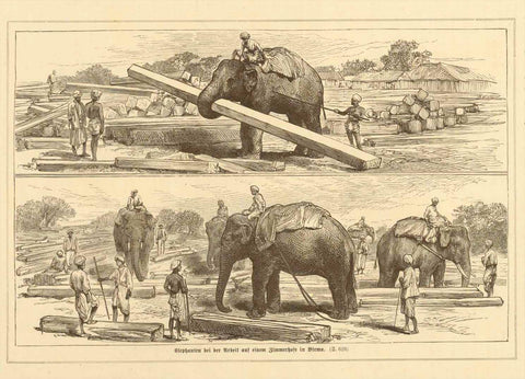 "Elephanten bei der Arbeit auf einem Zimmerhofe in Birma"  Wood engraving of elephants working at a lumber yard in Burma. Published ca 1875. Reverse side is printd ith unrelated text.