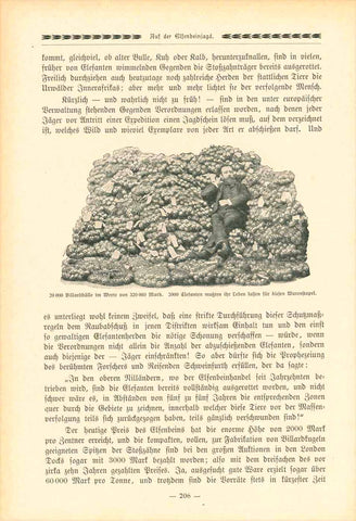 "Auf der Elfenbeinjagd" (hunting for ivory)  Original antique print   8-page article with 7 text photos published 1909. The article described the early days of hunting elephants for their ivory tusks!