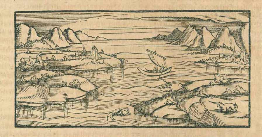 Canary Islands / Kanarische Inseln  Woodcut.  Published in "Cosmographia" by Sebastian Muenster (1488-1552). German edition  Basel, 1553  Sebastian Muenster writes about the Canary Islands: ""Insulae Fortunatae (The Happy Islands) are now called Canary Islands or Dog Islands - Latin: Canis = Dog), because the indigenous people possess so many dogs"  The name Dog Islands did not last very long, however.