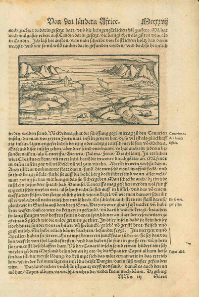 Canary Islands / Kanarische Inseln  Woodcut.  Published in "Cosmographia" by Sebastian Muenster (1488-1552). German edition  Basel, 1553  Sebastian Muenster writes about the Canary Islands: ""Insulae Fortunatae (The Happy Islands) are now called Canary Islands or Dog Islands - Latin: Canis = Dog), because the indigenous people possess so many dogs"  The name Dog Islands did not last very long, however.