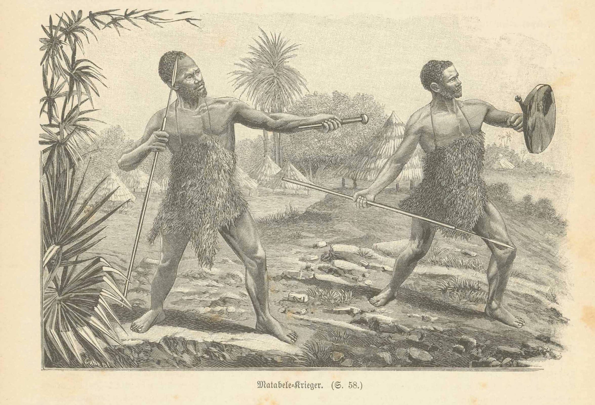 Peoples, Ethnology, Simbabwe, Ndebele Koenigreich, Matabele, KwaZulu Natal, "Matabele-Krieger"  Wood engraving on a page of text about the warriors fighting in Zimbabwe.