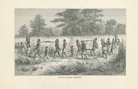 "Karawane gefangener Negersklaven"  Colonial History, Slavery  Wood engraving published 1877.  Original antique print 