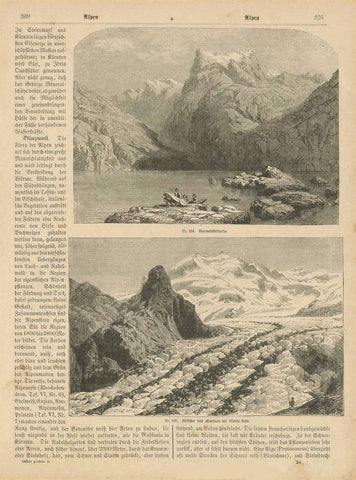 Landscapes, Geoplogy, Italy, Switzerland, Glaciers, Monte Rosa, Upper image: "Vierwaldstaettersee" Lower image: "Gletscher und Moraenen des Monte Rosa"  Wood engravings on a page of text about the Alpine peoples, plant and animal world that continues on the reverse side. Published 1875.  Original antique print 