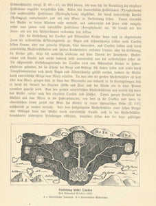 Geology, Hot Springs, South Pole, Ocean Currents