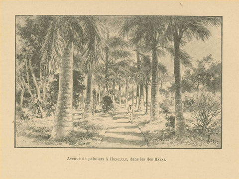 "Avenue de palmiers a Honolulu, dans les iles Havai"  Hawaii, Honolulu   Zincograph published ca 1890.  Original antique print  