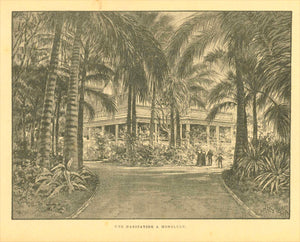"Une Habitation a Honolulu"  Zincograph published in France ca 1890. On the reverse side is French text about Hawaii.  Original antique print  