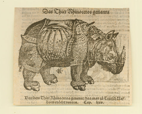 "Das thier Rhinoceros genant"  Woodcut by David Kandel after Albrecht Duerer. Published in "Cosmographia" by Sebastian Muenster. Basel, 1553  Original antique print   Woodblock had split and was repaired for further printing, which explains white line through animal.  Paper naturally age-toned. No upper and lower margins.  Print from reverse side visible. Print is mounted on stronger paper.