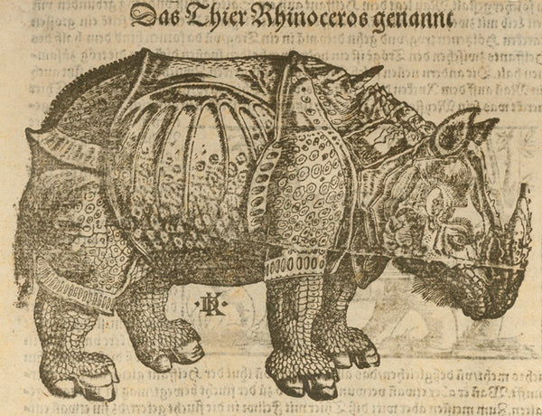 "Das thier Rhinoceros genant"  Woodcut by David Kandel after Albrecht Duerer. Published in "Cosmographia" by Sebastian Muenster. Basel, 1553  Original antique print   Woodblock had split and was repaired for further printing, which explains white line through animal.  Paper naturally age-toned. No upper and lower margins., Nashorn Rhinocerus